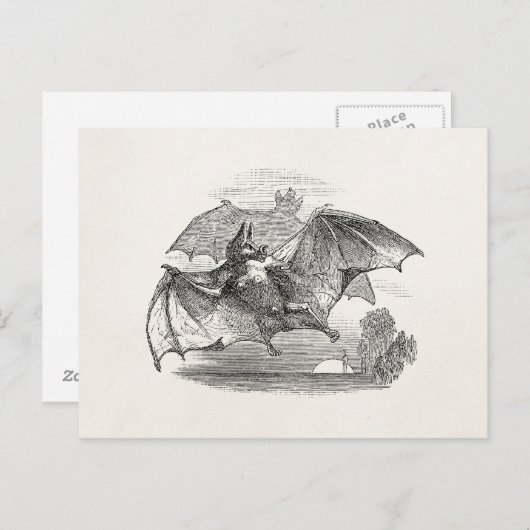 Vampire Bats Aangepaste Retro Bats Briefkaart (Voorkant / Achterkant)