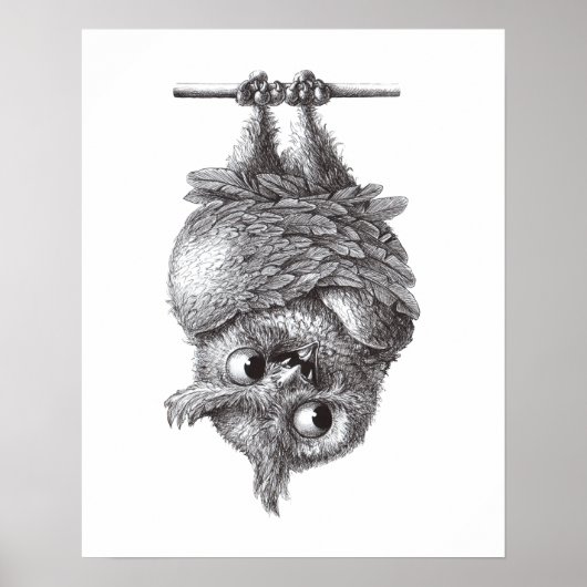 Vampire Owl - Zeer eng Poster (Voorkant)