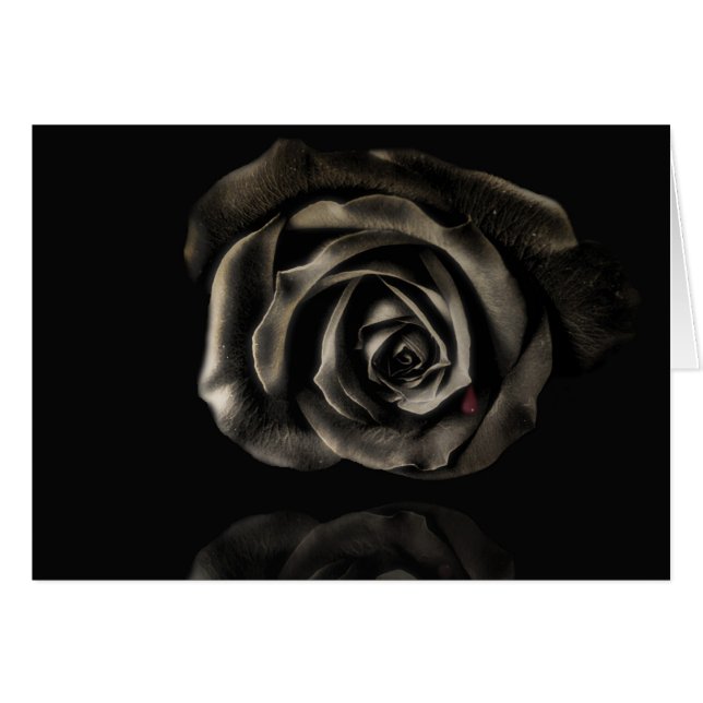 Vampire rose noir (Devant horizontal)