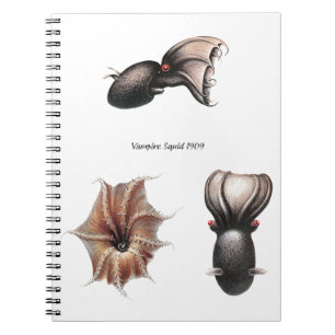 Vampire Squid Notebook Notitieboek