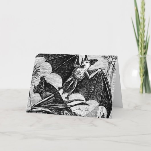 Vampire vleermuizen kaart (Voorkant)