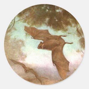 Vampire vleermuizen van CE Swan, wilde dieren Ronde Sticker