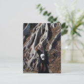 Vamplified Roots Briefkaart (Staand voorkant)