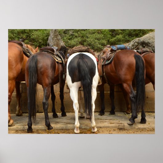 Van achteren poster (Voorkant)