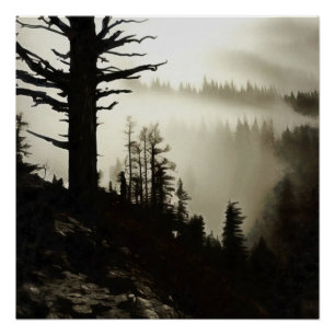 Van berg tot Moody Mist of Morning Treescape Perfect Poster