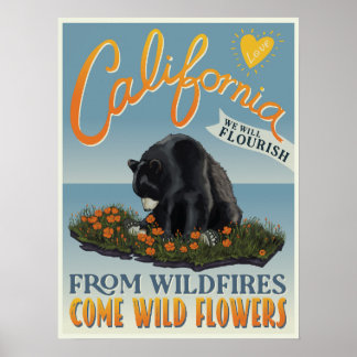 Van bosbranden komen wilde bloemen - California Lo Poster