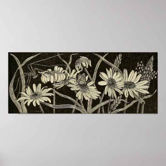 van Daisy Poster (Voorkant)