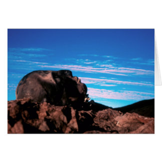 Van de aarde/gevouwen kaart