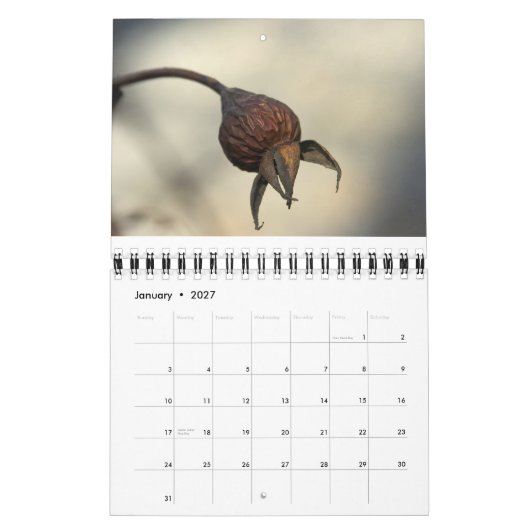 Van de aardmassa kalender (Jan 2027)