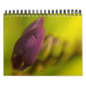 Van de aardmassa kalender (Hoes)