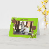 Van de de kattenzitting van het calico de foto kaart (Gele Bloem)