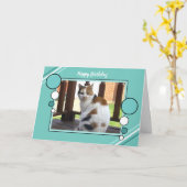 Van de de kattenzitting van het calico groen de kaart (Gele Bloem)