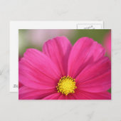 Van de helft van Schoonheid Briefkaart (Voorkant / Achterkant)