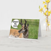 VAN DE KUDDE GEHOORD DAT JE **50** WOW BENT KAART (Gele Bloem)