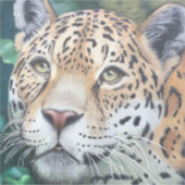 Van de schaduwen sticker (Voorkant)