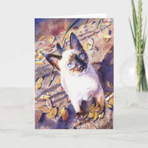 Van de "Siamese Kat" de Kaart