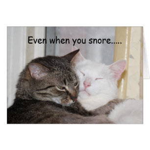Van de snore houden
