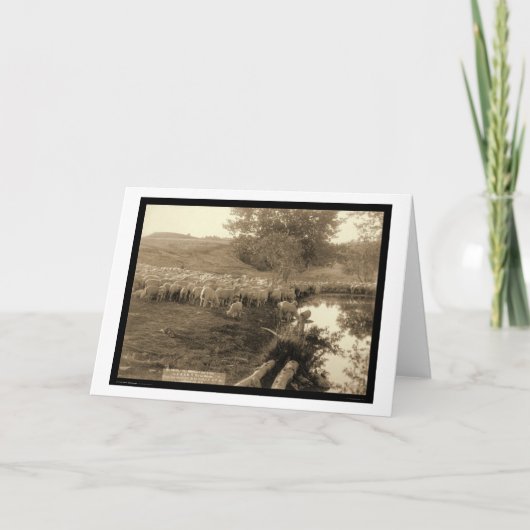 Van de Zuid- herder en van de Troep Dakota 1891 Kaart (Voorkant)