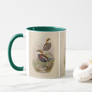 Van der Bosch's Pitta door John Gould Mok