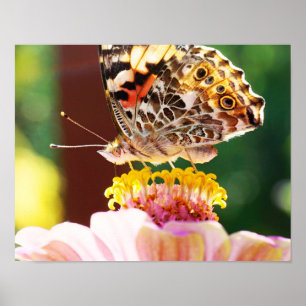 Van dichtbij met deze mooie vlinder Natuur kunst Poster
