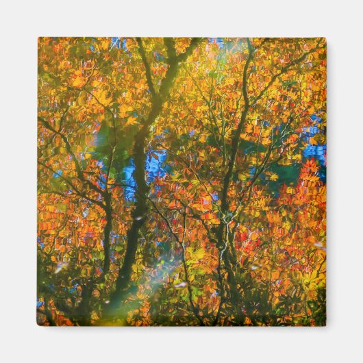 Van Dusen Botanical Garden Vancouver, Canada Magneet (Voorkant)