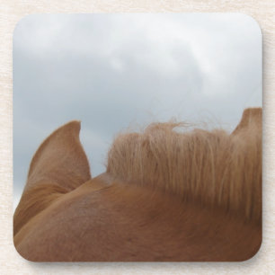 Van een Uitzicht van een paard, oorlogen en nek Onderzetter