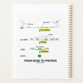 Van genen tot eiwit moleculaire biologie planner (Achterkant)