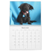 Van gevaar naar veilige handen kalender (Mar 2026)