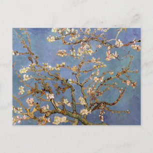 Van Gogh Almond Blossom Briefkaart