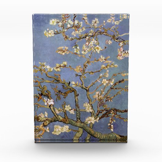 Van Gogh Almond Blossom Fotoblokken (Voorkant)