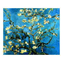 Van Gogh Almond Tree Blossom Poster
