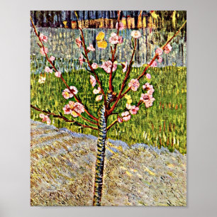 Van Gogh - Amandelboom in Blossom Poster