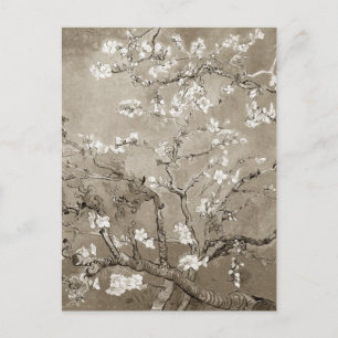 Van Gogh Ammond Branches in Bloom - Sepia Briefkaart