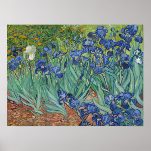 Van Gogh beroemde blauwe irissen bloemenschilderij Poster