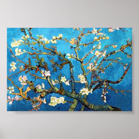Van Gogh Blossoming Almond Tree Fine Art Poster (Voorkant)