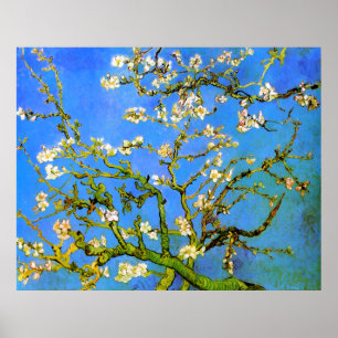 Van Gogh: Blossoming-amandelboomafdelingen Poster