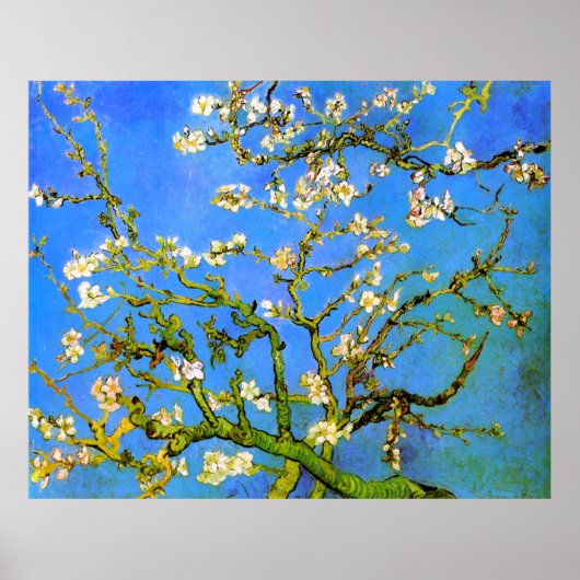 Van Gogh: Blossoming-amandelboomafdelingen Poster (Voorkant)