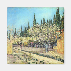 Van Gogh Boomgaard in Bloei, Omzoomd door Cipresse Magneet