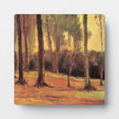 Van Gogh - Edge of a Wood, Fotoplaat (Voorkant)