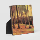 Van Gogh - Edge of a Wood, Fotoplaat (Voorkant)
