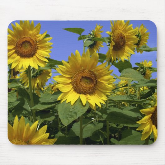 Van Gogh in Provence Mousepad Muismat (Voorkant)