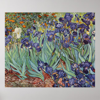 Van Gogh Irise Impressionist Painting Poster