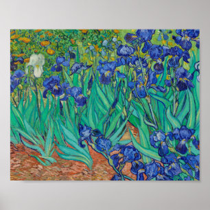 Van Gogh Irise Painting Poster