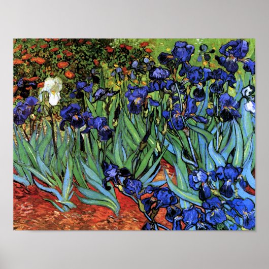 Van Gogh Irises (F608)  Fine Art Poster (Voorkant)