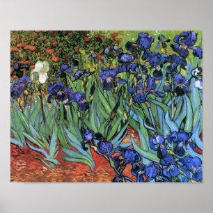 Van Gogh Irises (F608) Vintage Fine Art Poster