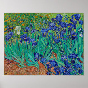 Van Gogh Irises Floral Painting Poster