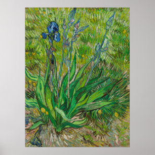 Van Gogh Irises - Klassieke Blauwe Bloemkunst Poster