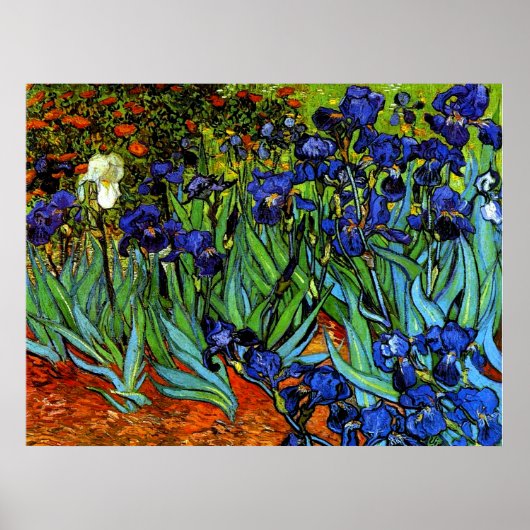 Van Gogh - Irises Poster (Voorkant)