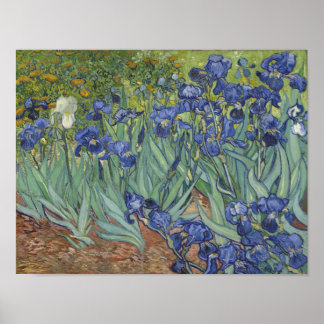 Van Gogh Irises Poster