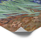 Van Gogh Irises Poster (Hoek)